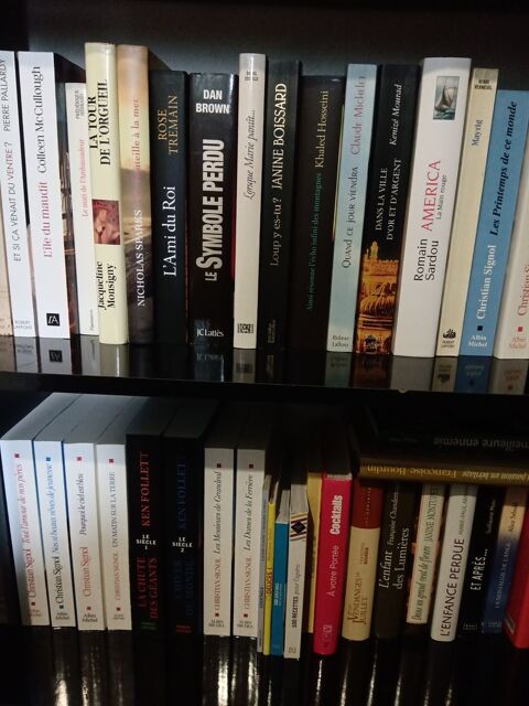 Romans et livres 4 Mortagne-au-Perche (61)