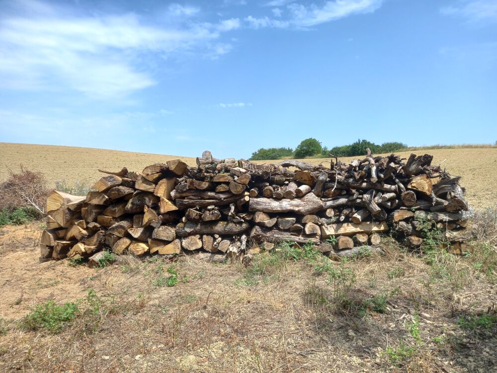 Bois de chauffage Jardin