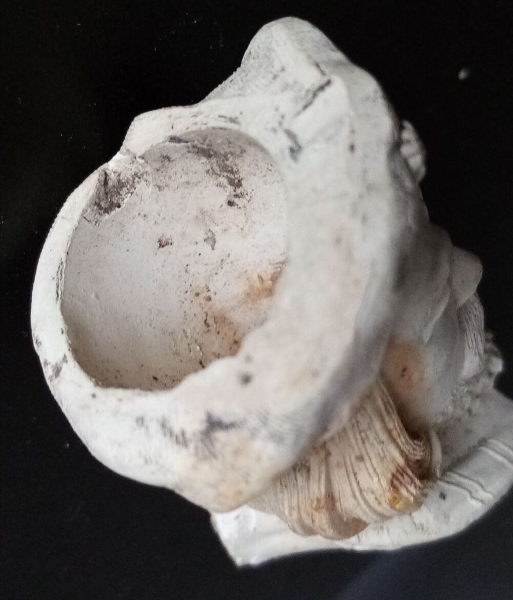 T&ecirc;te de pipe en terre 