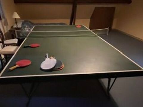 Table ping pong Armeau (89)
