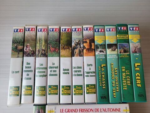 Lot de cassettes de chasse VHS ( 17 ) 14 Bar-sur-Seine (10)