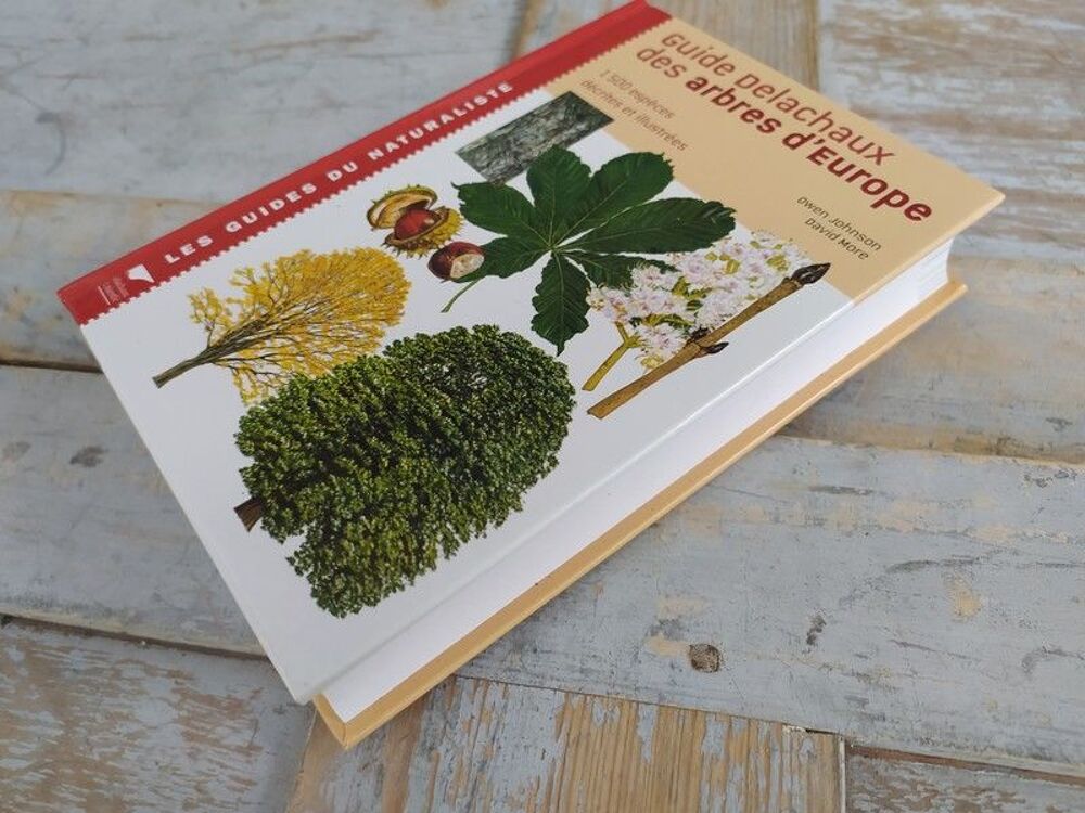 Livre Delachaux et Niestl&eacute; Guide des Arbres d'Europe Livres et BD