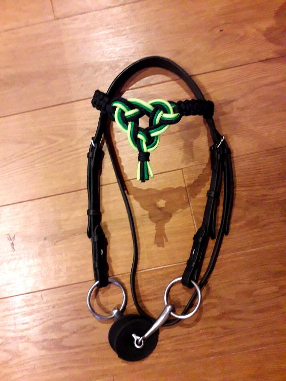 frontal cheval Sports