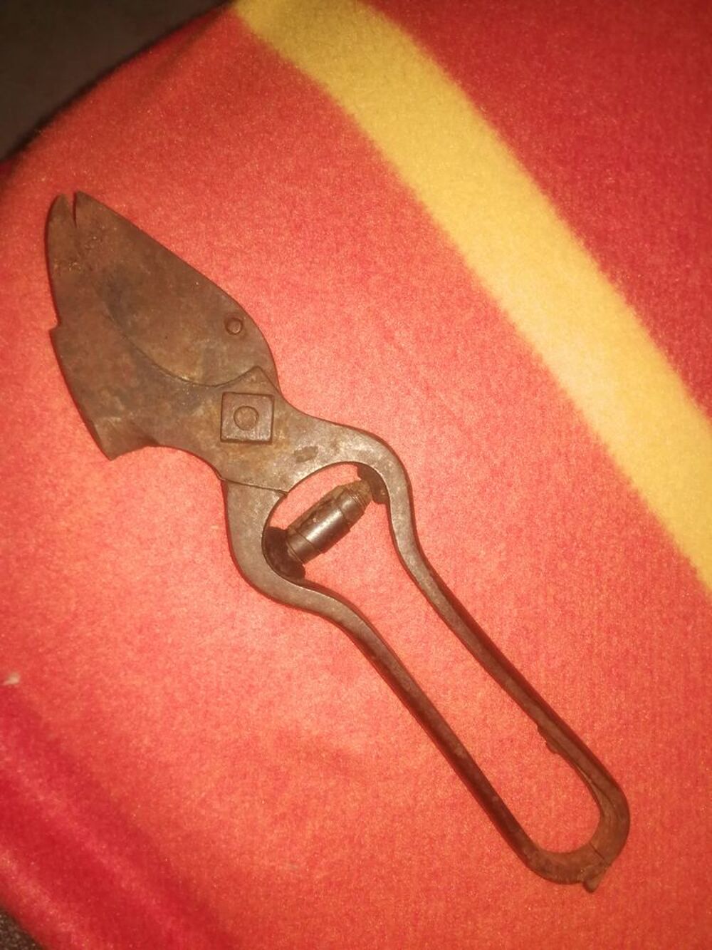 Pince pour tailler Bricolage