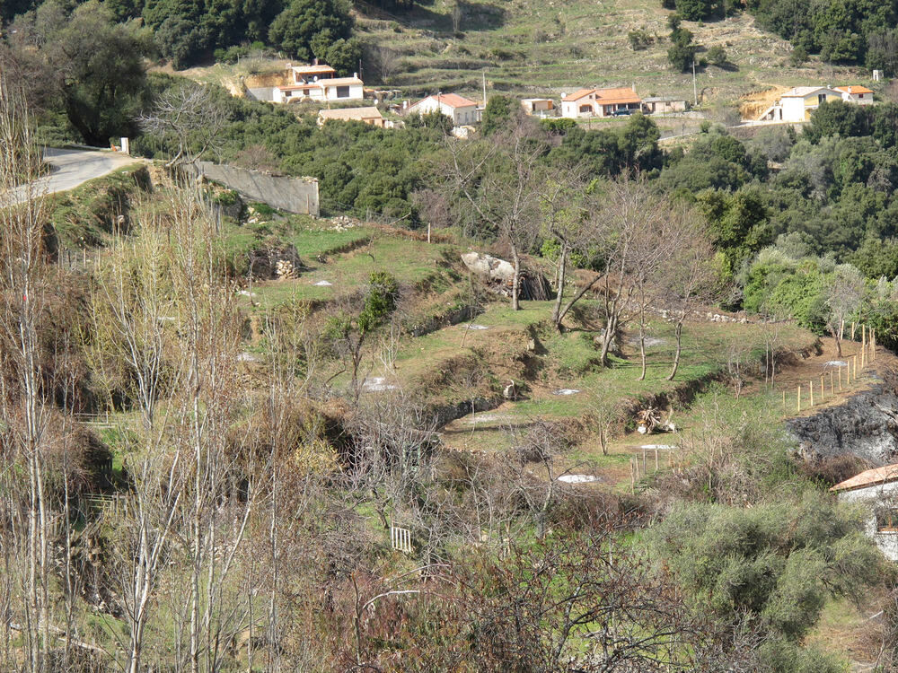 Vente Terrain Corse du Sud, Vico/Nesa : beau terrain Vico