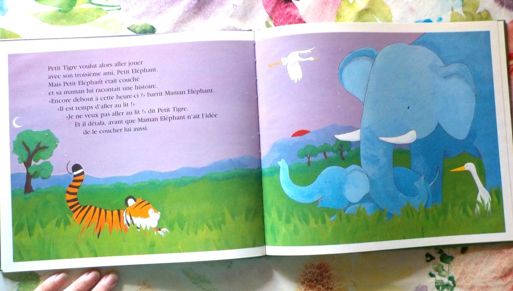 JE NE VEUX PAS ALLER AU LIT ! de J. SYKES et T. WARNES Livres et BD