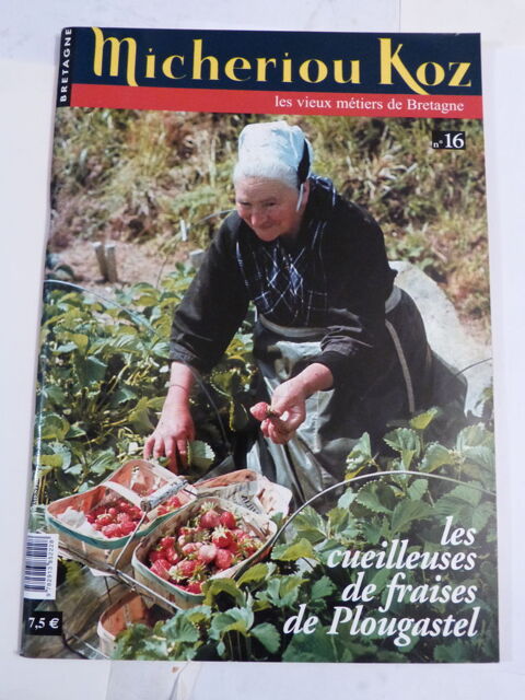 MICHERIOU KOZ  -  PERIODIQUE BRETON  a choisir 6 Brest (29)