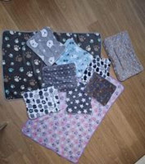   Accessoires lapins nains 