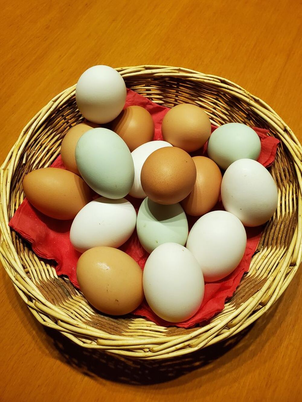 Oeufs Bio de poule frais blancs, bleus, verts, marrons Cuisine