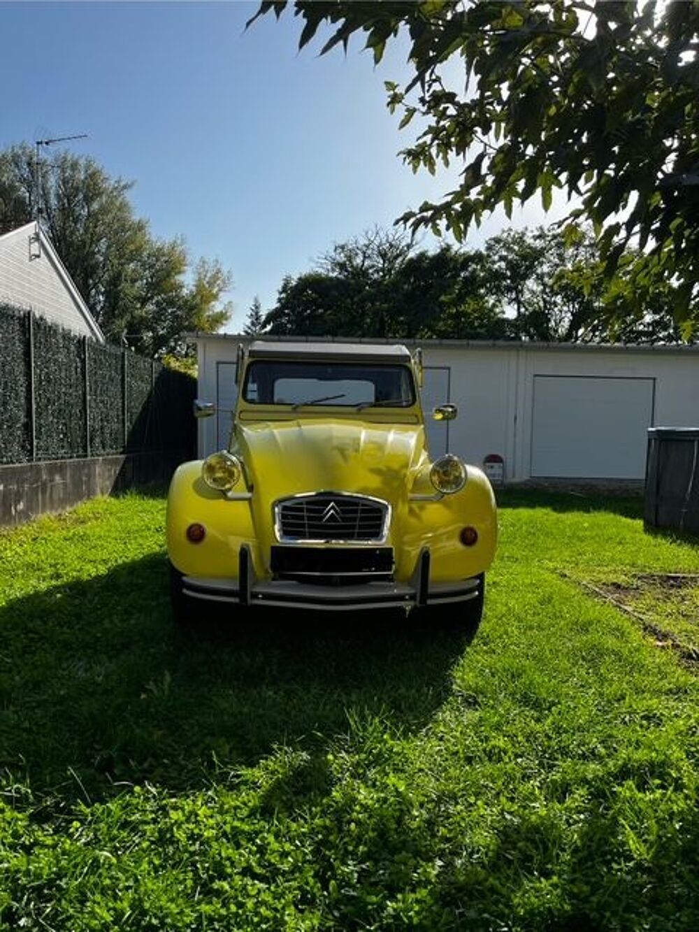 2 CV - Dyane sp&eacute;cial 1975 occasion 24750 Tr&eacute;lissac