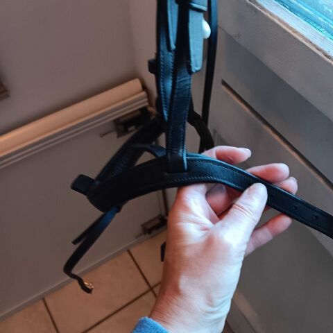 Filet Antars 190 La Ronde (17)