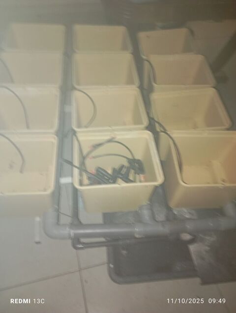 Syst�me hydroponique dutch pot hydro 180 Clairac (47)