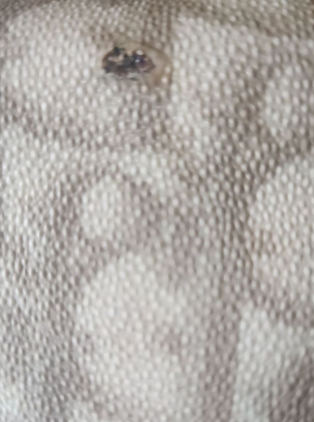 Authentique portefeuille femme Christian Dior N&deg; visible Maroquinerie
