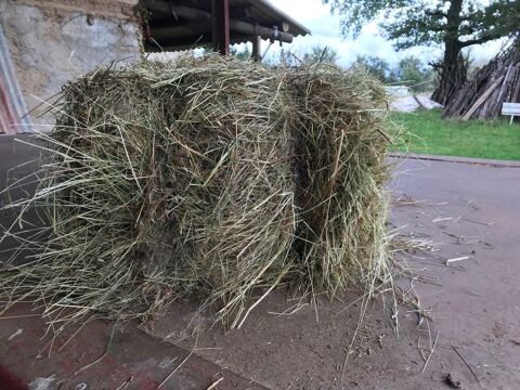 paille et foin en petites bottes bio 3 Peschadoires (63)