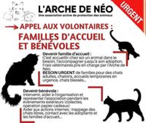   Recherche bénévoles et familles d'accueil 