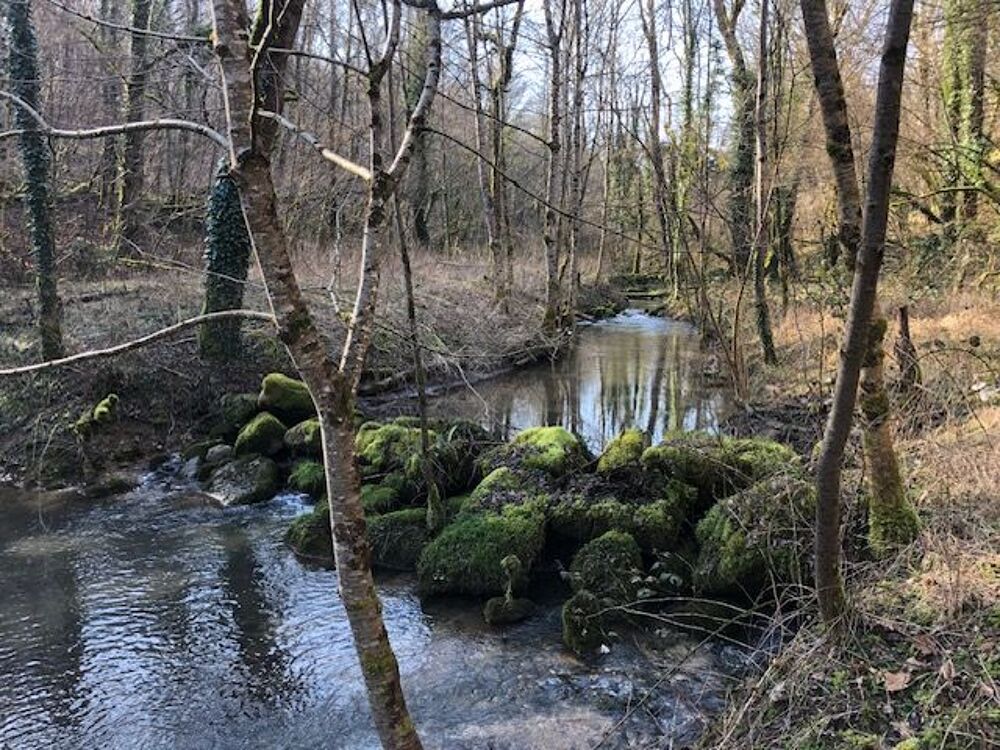 Vente Terrain RARE PROPRIETE AVEC ETANGS RIVIERE Recey-sur-ource