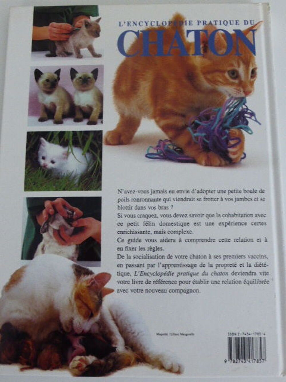 L'encyclop&eacute;die pratique du chaton Sarah Whitehead Livres et BD