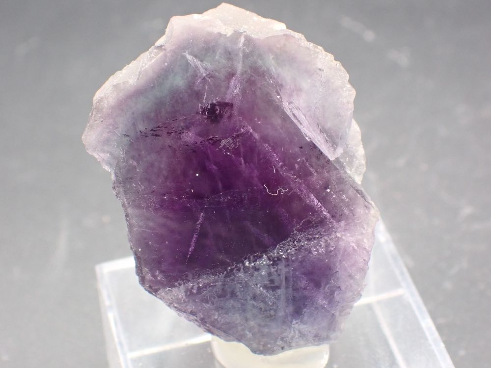 Fluorite (polie sur une face) Weisseck Lungau Salzbourg Autr 