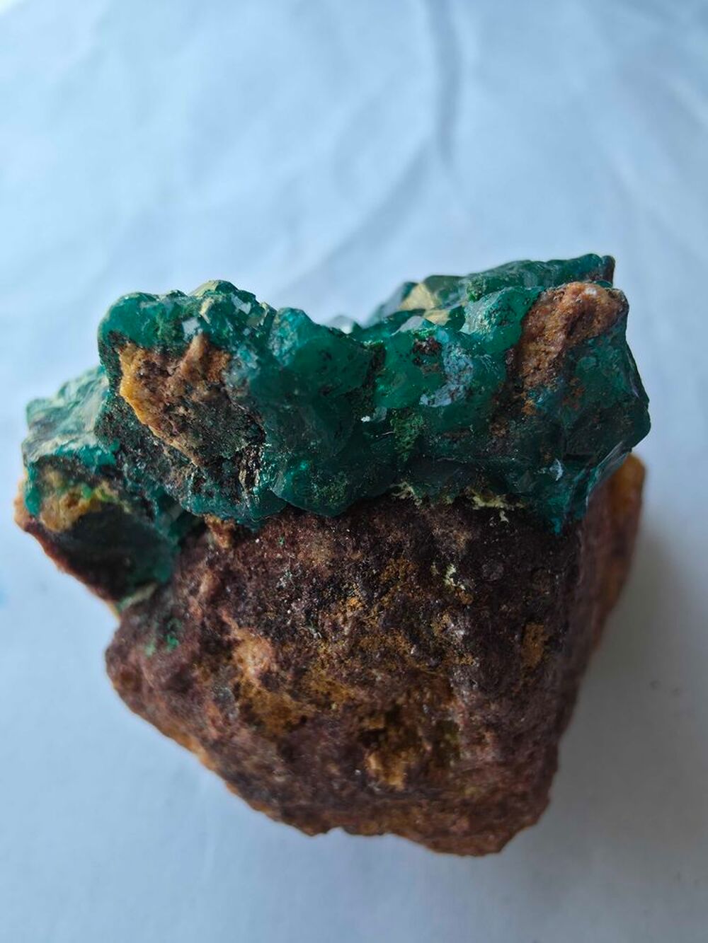V&eacute;ritable Dioptase sur Gangue Ocre-Min&eacute;ral de Collection Katanga 92g 