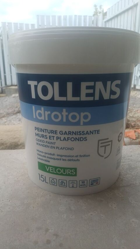 Peinture 150 Vesseaux (07)
