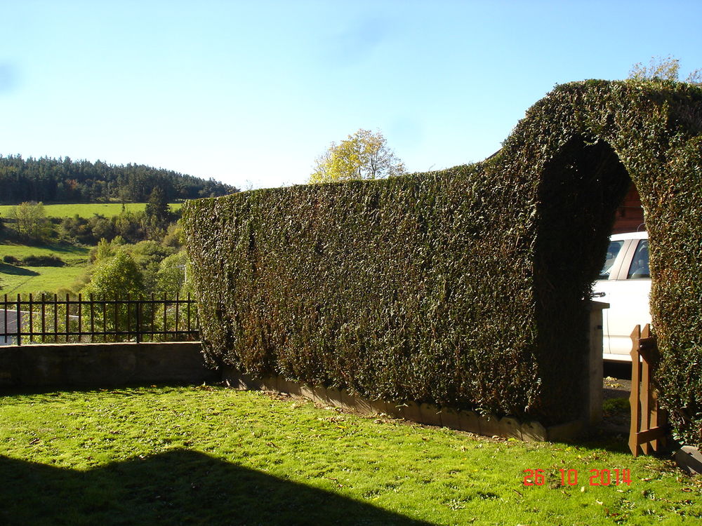   Gite sympa tout confort dans parc des volcans d'auvergne Auvergne, Le Vernet-Sainte-Marguerite (63710)