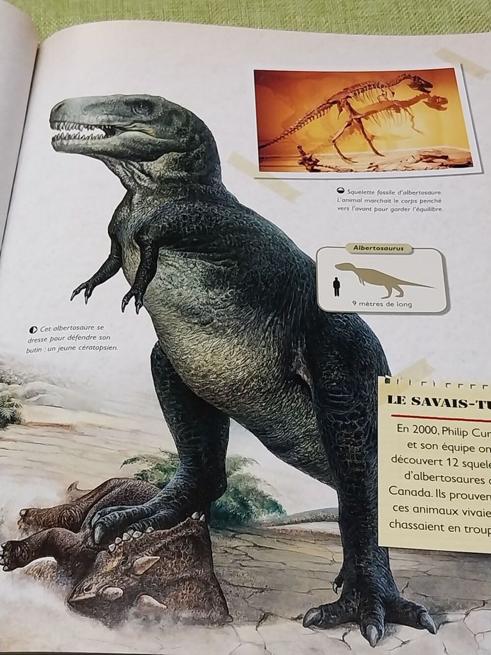 Dinosaures le livre de tous les secrets Rupert Matthews Livres et BD