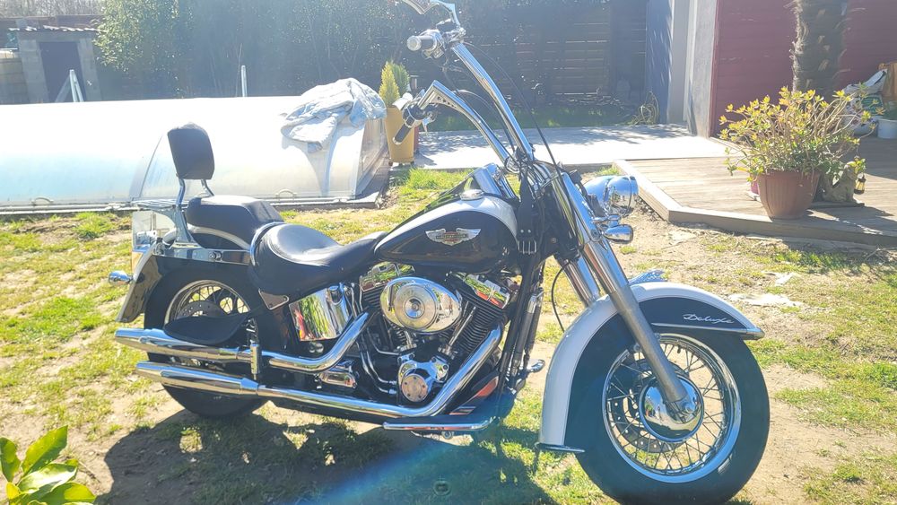 HARLEY-DAVIDSON 2005 occasion 44120 Vertou