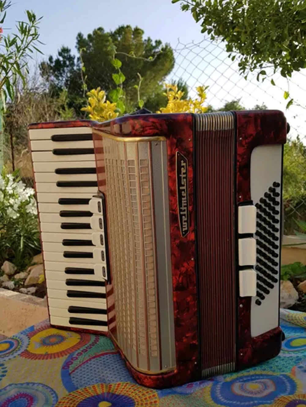 Accordeon Weltmeister 60 basse 3 voix Instruments de musique