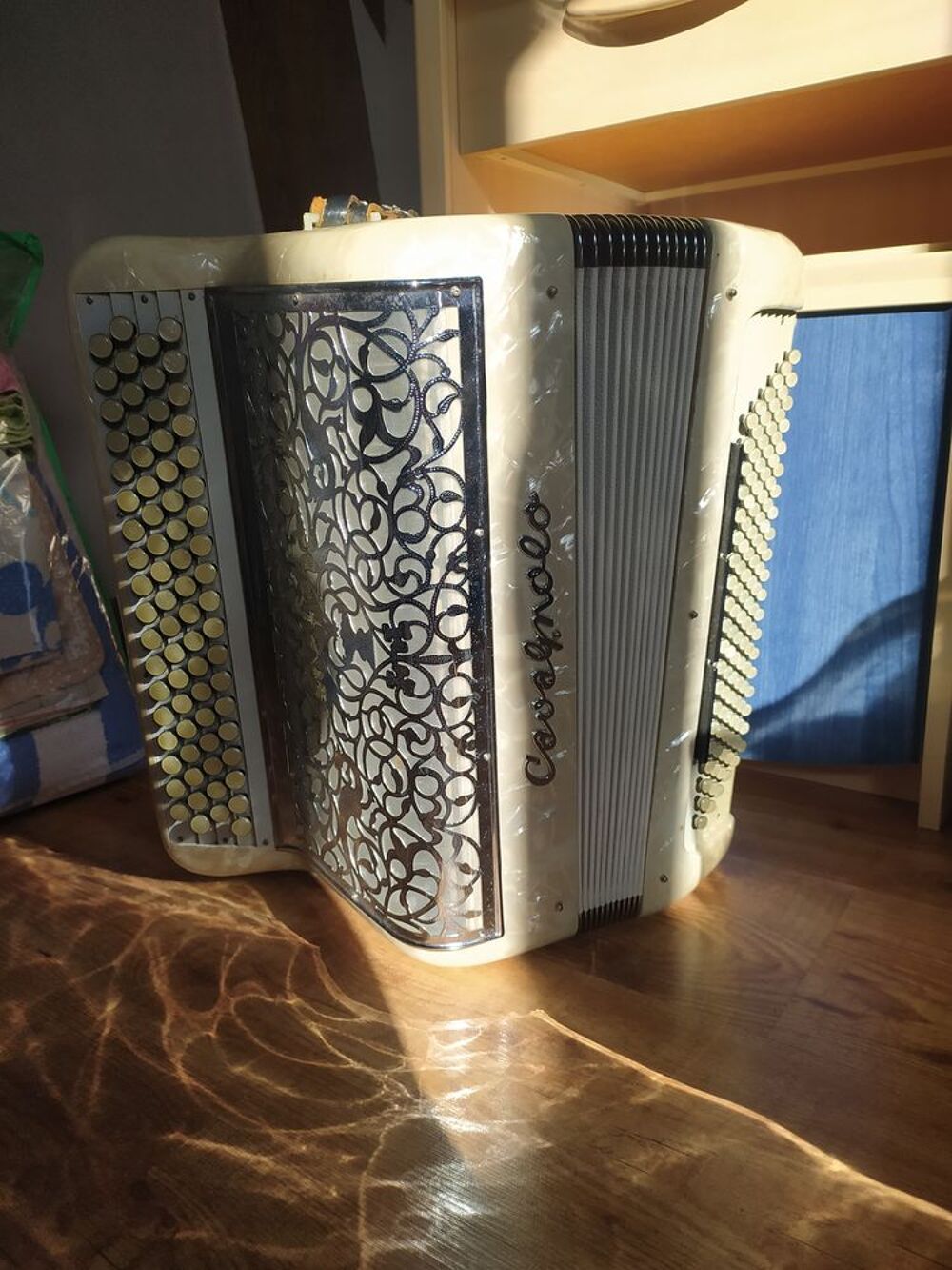 ACCORDEON CAVAGNOLO VEDETTE 10 CONCERT Instruments de musique