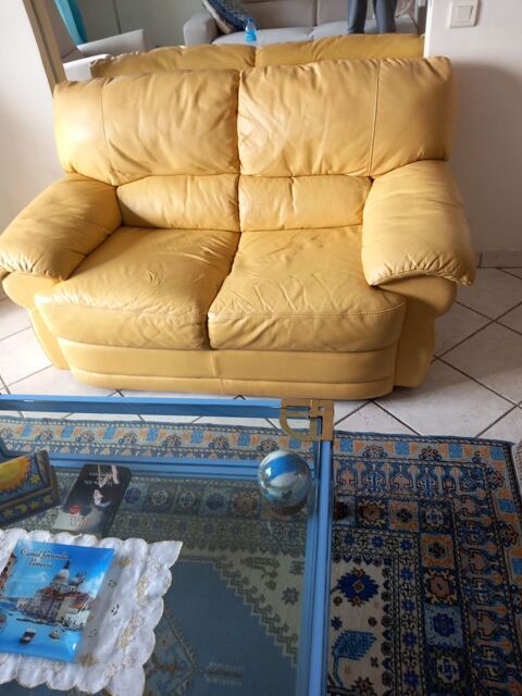 canap cuir 0 Cannes (06)