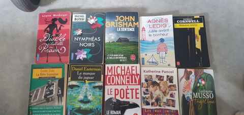 Je suis Audrey Invalide mes livres adultes 4eur 4 Dax (40)