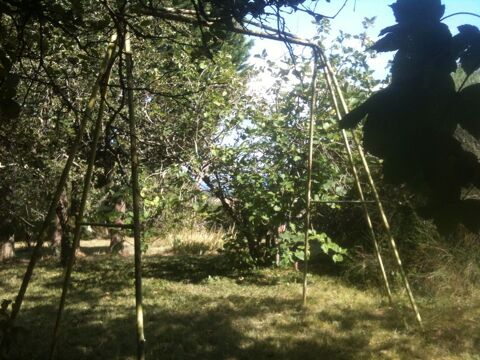 Grand portique mtallique de jardin/parc/balanoire/anneau 95 Castres (81)