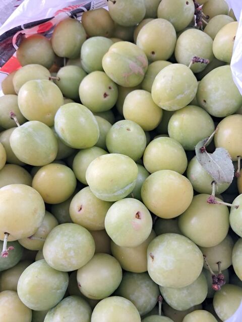 Mirabelles du jardin 4 Nogent-le-Rotrou (28)