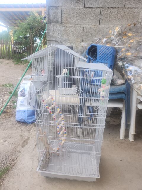 Cage petit oiseaux 35 68560 Hirsingue