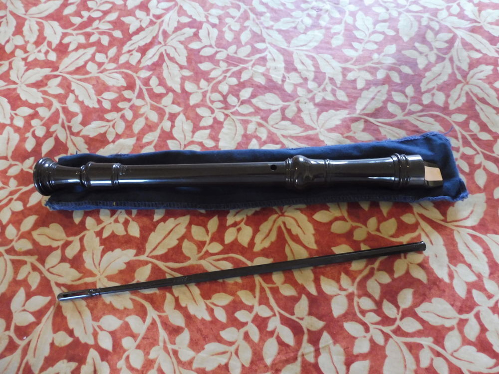 Flute &agrave; Bec marque "Aulos" dans son &eacute;tui + Tige Instruments de musique