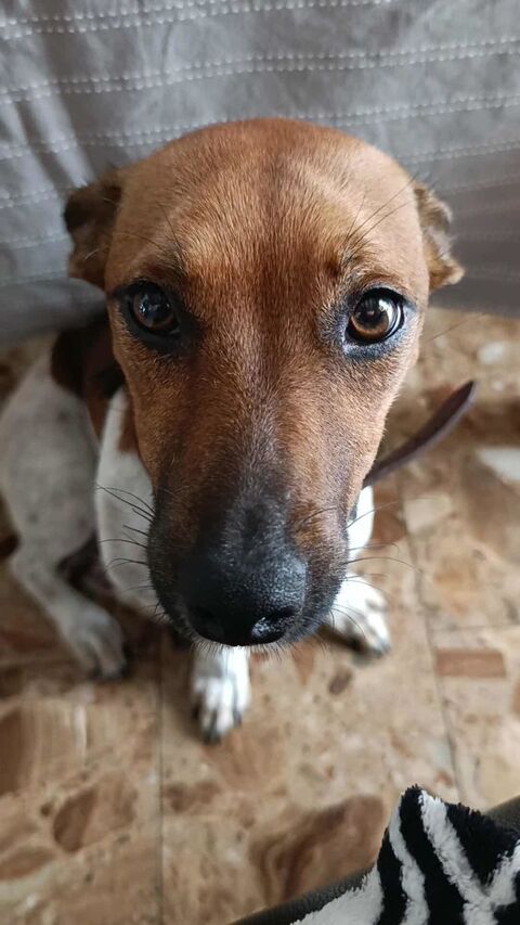 La belle AYA ! 300 18000 Bourges