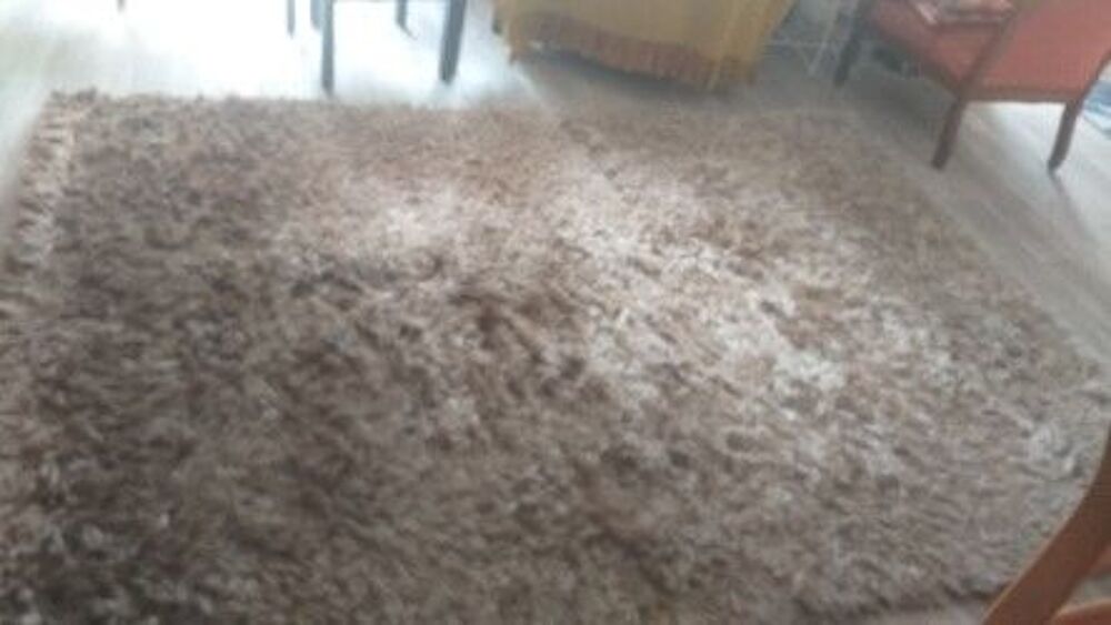 TAPIS """"Roche Bobois """"" Décoration