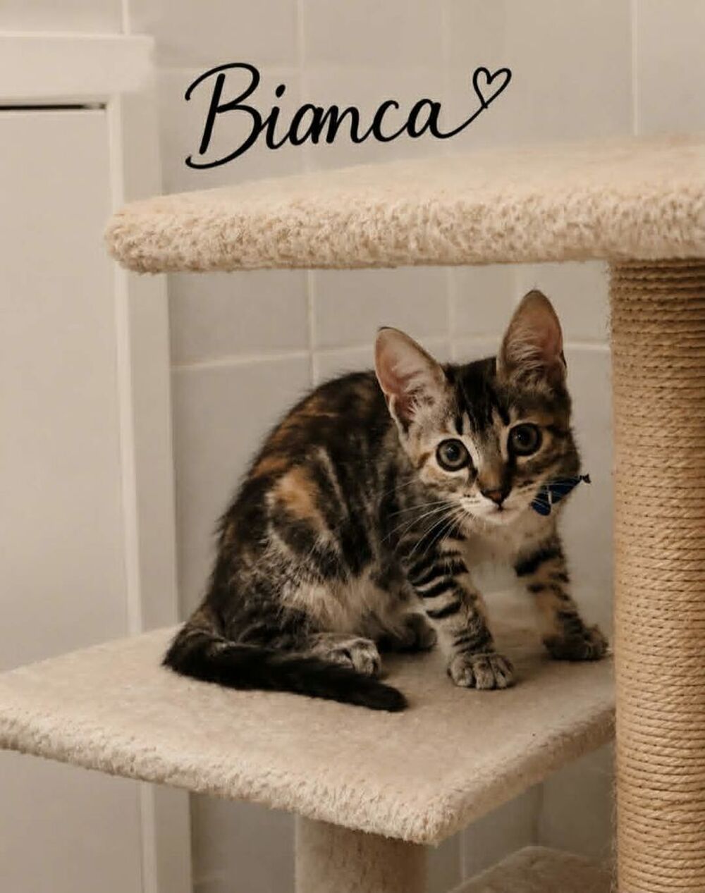   BIANCA 