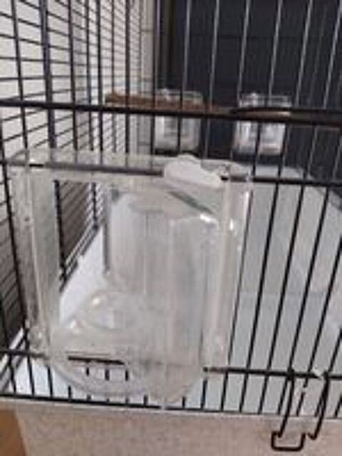   Cage oiseaux Canto  