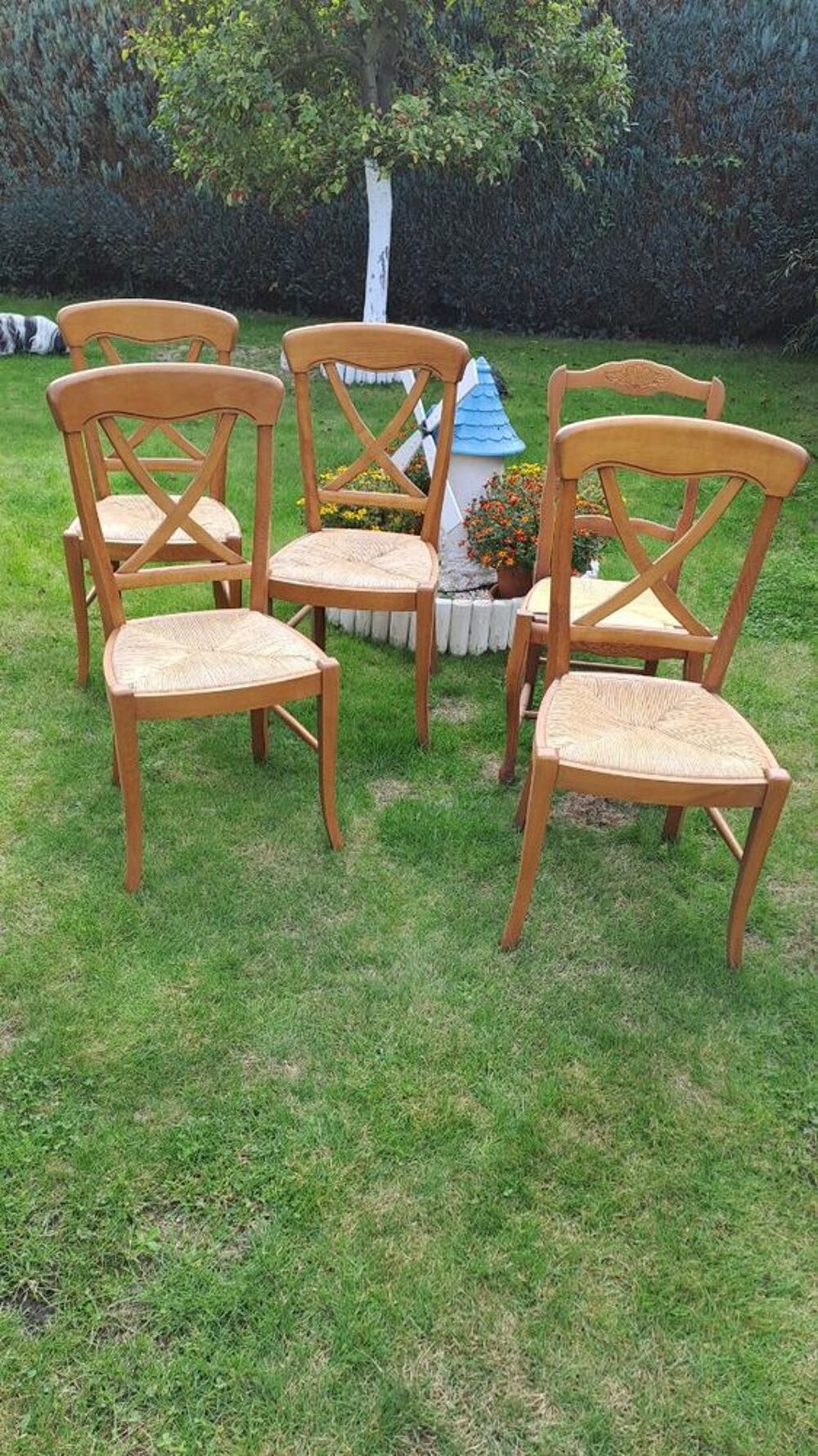 Chaises Meubles