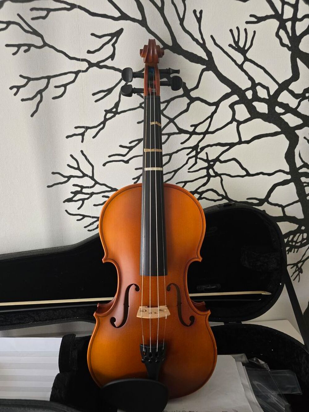 Violon 4/4 Instruments de musique