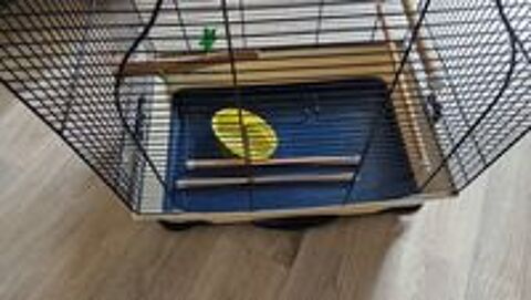   cage oiseaux  