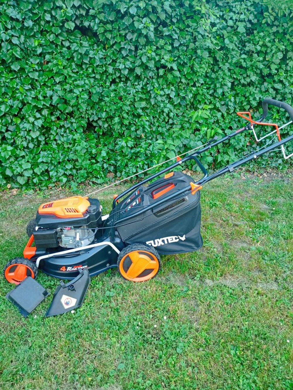 Tondeuse thermique Jardin