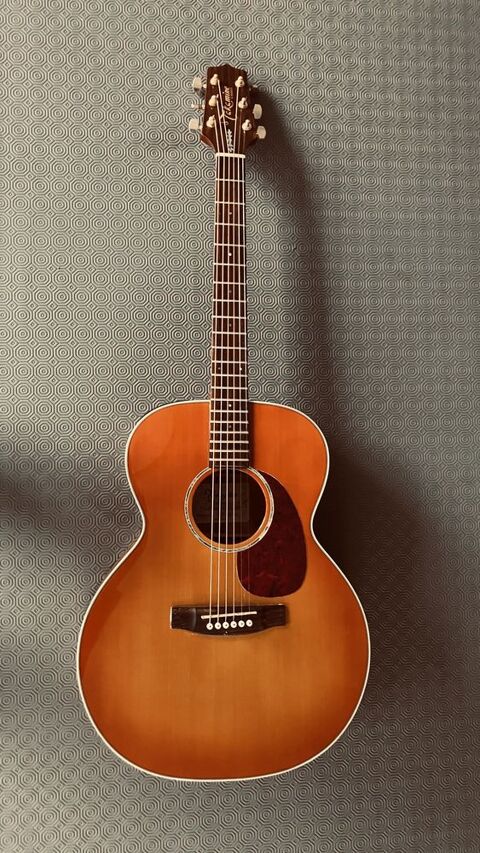 Guitare Takamine 250 Moulins (03)