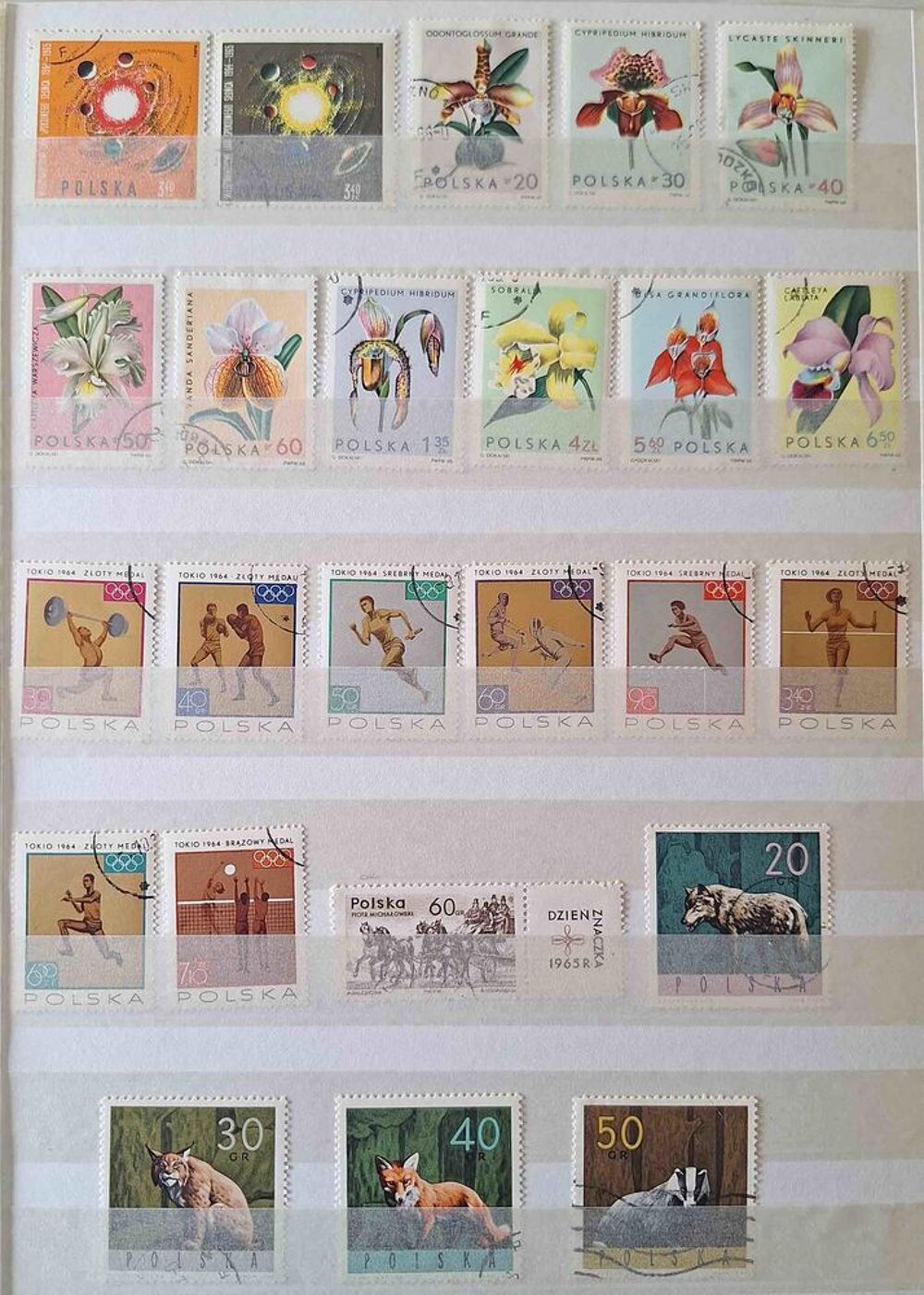 S&eacute;rie de timbres de collection de Pologne A 