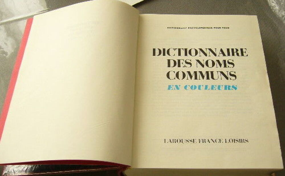 Dictionnaire des noms communs Larousse livre cuir Livres et BD
