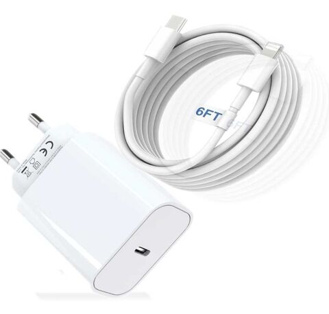 CHARGEUR RAPIDE IPHONE 10 Arzal (56)
