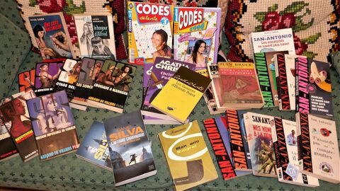 Lot de 28 livres et 2 livrets de jeux codés. 20 Budelière (23)