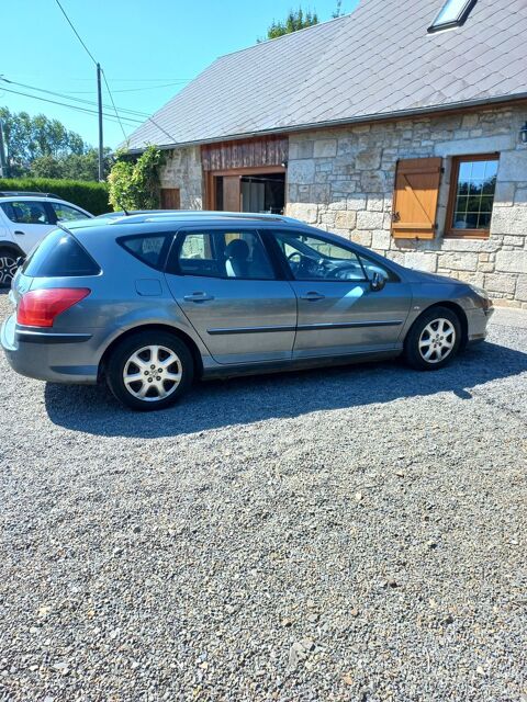 Peugeot 407 sw 2.0 HDi 16v Confort