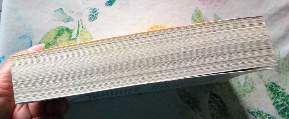 HARLEQUIN PASSIONS N&deg;39 Un si troublant mensonge/Les amants Livres et BD